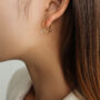 [316L鈦鋼]精致小鉆耳圈耳環 - 六爪稳固锆石金色耳环一对