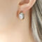 [316L鈦鋼]玻璃石個性耳環F681 - F681-钢色白玻璃石耳环