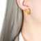 [316L鈦鋼]小眾個性愛心耳環F750 - F750-金色耳环