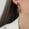 [銅]虎眼石琺瑯彩釉耳環 - F378-棕彩釉虎眼石耳环