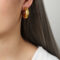 [316L鈦鋼]多色彩砝碼彩釉耳環 - F1251-砖红彩釉耳环