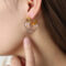 [316L鈦鋼]輕奢樹脂多彩耳環 - F1151-金透明树脂耳环